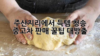 주산지리에서 득템?! 청송 중고차 판매 꿀팁 대방출 🚗💨